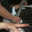 Lesn� 26.6.2010 obr.10